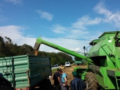 BC kukuruzi u Lovasu