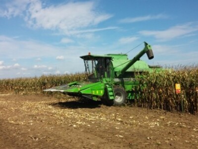 BC kukuruzi u Lovasu