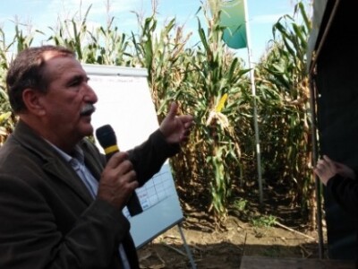 BC kukuruzi u Lovasu