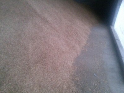 Pir koji čeka kupca