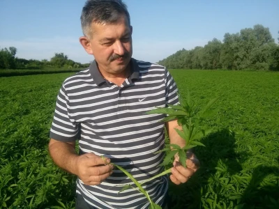 Ivo Kelić