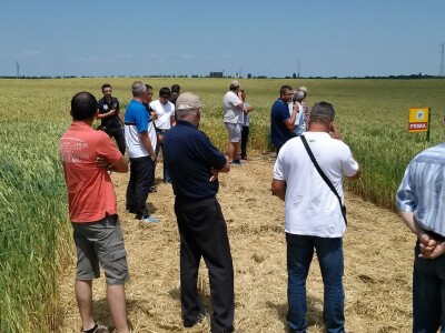 Poljoprivredni proizvođači na pokusnom polju