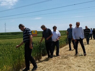 U obilasku pokusnog polja