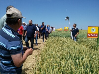 U obilasku pokusnog polja