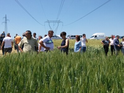 Poljoprivredni proizvođači na pokusnom polju