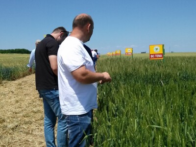 Poljoprivredni proizvođači na pokusnom polju