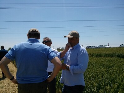 Direktor Sektora sjemenarstva Bc Instituta Kristijan Puškarić