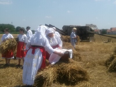 Za žetvu se spremila i košara s hranom