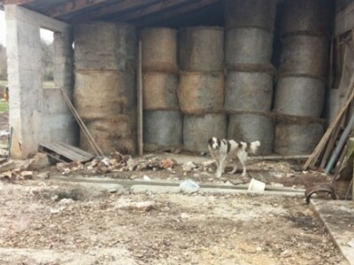 I ovdje se prave rolo bale