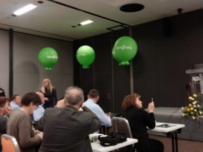 Synentini kukuruzi Synentini kukuruzi