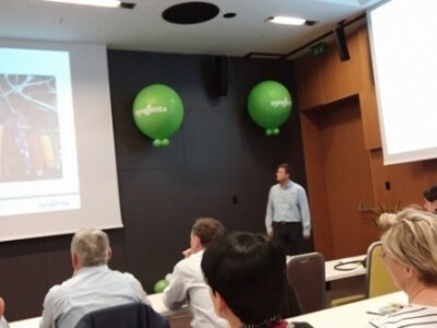 Synentini kukuruzi Synentini kukuruzi