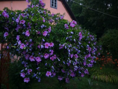 Capriccia centar u Nebojanu