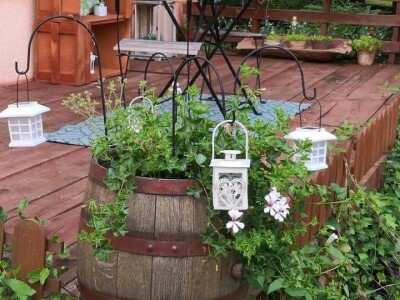 Capriccia centar u Nebojanu