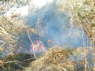 Ponjavica i Mali vršački rit