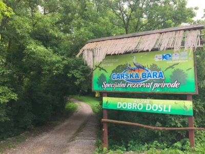 Carska bara
