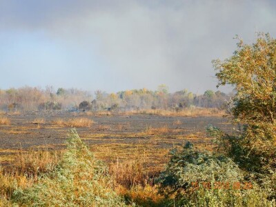 Ponjavica i Mali vršački rit