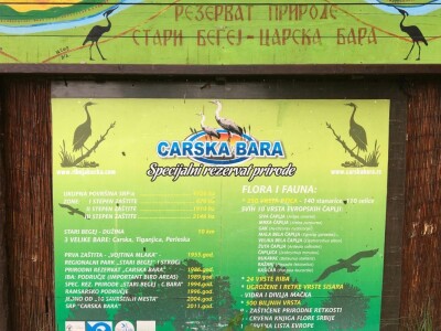 Carska bara