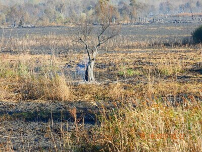 Ponjavica i Mali vršački rit