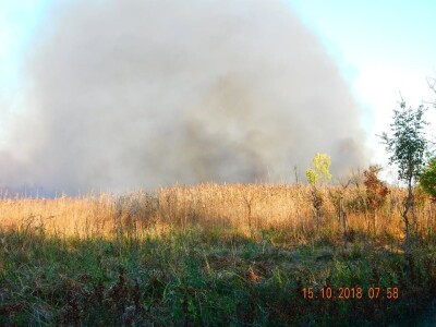 Ponjavica i Mali vršački rit