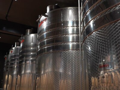 Broćanska žila(vka) kucavica - za smijeh i grijeh