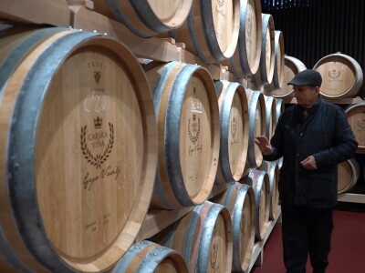 Broćanska žila(vka) kucavica - za smijeh i grijeh