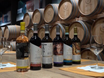 Broćanska žila(vka) kucavica - za smijeh i grijeh