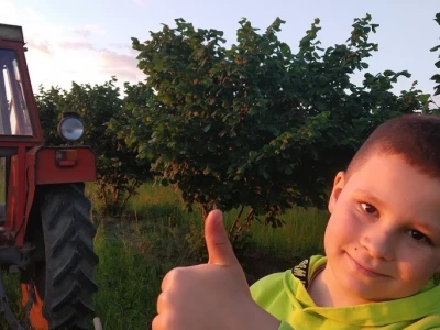 Carski biznis u selu Krajišnik: Kako je seoski lješnjak postao luksuzna roba