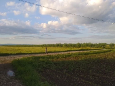 Carski biznis u selu Krajišnik: Kako je seoski lješnjak postao luksuzna roba