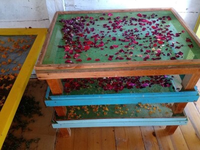 Carstvo organske hrane i lekovitog bilja