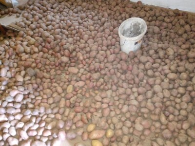 Carstvo organske hrane i lekovitog bilja