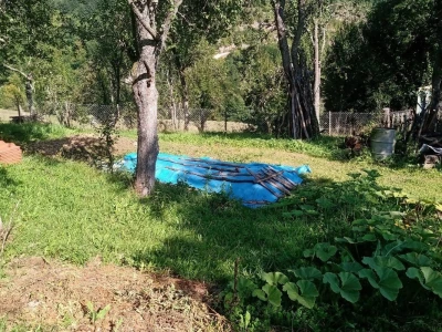 Carstvo organske hrane i lekovitog bilja