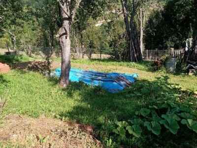 Carstvo organske hrane i lekovitog bilja