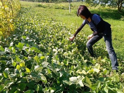 Carstvo organske hrane i lekovitog bilja