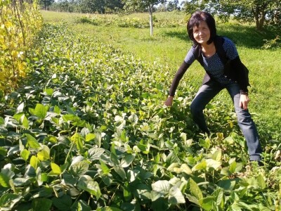 Carstvo organske hrane i lekovitog bilja