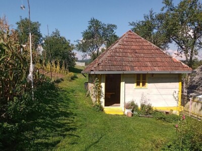 Carstvo organske hrane i lekovitog bilja