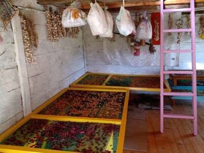 Carstvo organske hrane i lekovitog bilja