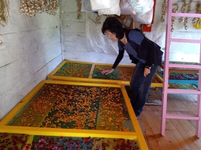 Carstvo organske hrane i lekovitog bilja