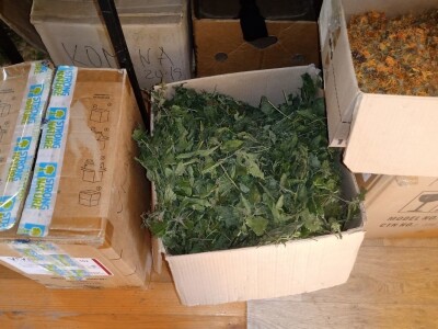 Carstvo organske hrane i lekovitog bilja