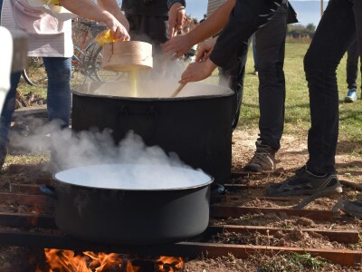 CATCHaCORN 2 - drugo studentsko takmičenje u berbi kukuruza