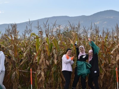 CATCHaCORN 2 - drugo studentsko takmičenje u berbi kukuruza