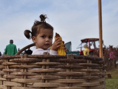 CATCHaCORN 2 - drugo studentsko takmičenje u berbi kukuruza