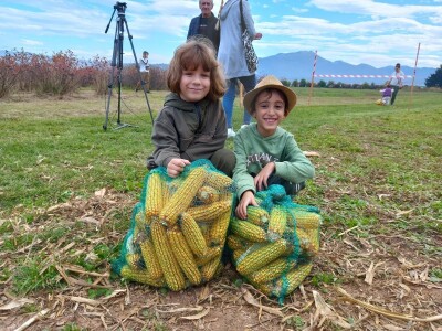 CATCHaCORN 2 - drugo studentsko takmičenje u berbi kukuruza