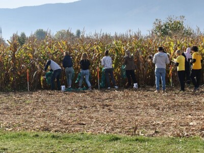 CATCHaCORN 2 - drugo studentsko takmičenje u berbi kukuruza