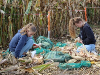 CATCHaCORN 2 - drugo studentsko takmičenje u berbi kukuruza