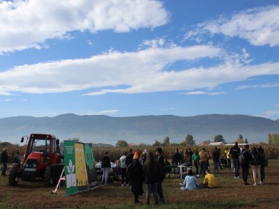 CATCHaCORN 2 - drugo studentsko takmičenje u berbi kukuruza