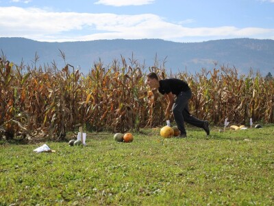 CATCHaCORN 2 - drugo studentsko takmičenje u berbi kukuruza