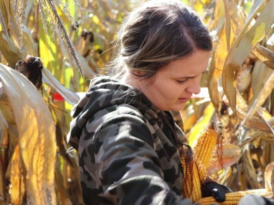CATCHaCORN - Studentsko takmičenje u berbi kukuruza