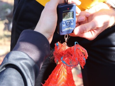 CATCHaCORN - Studentsko takmičenje u berbi kukuruza