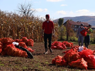 CATCHaCORN - Studentsko takmičenje u berbi kukuruza