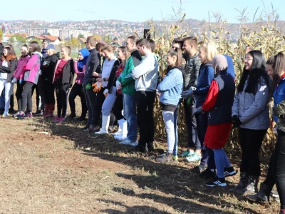 CATCHaCORN - Studentsko takmičenje u berbi kukuruza
